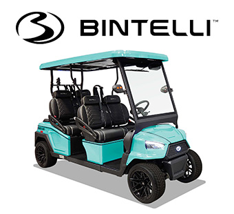 Bintelli Inventory